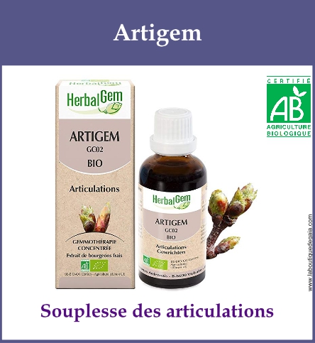 Gemmo artigem