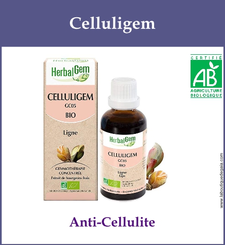 Gemmo celluligem