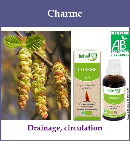 Gemmo charme
