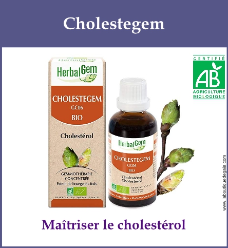 Gemmo cholestegem