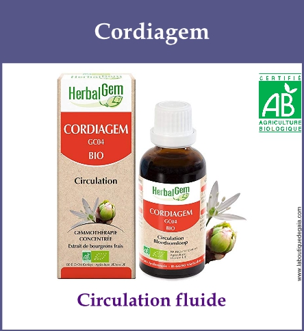Gemmo cordiagem