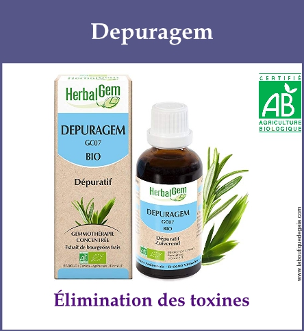 Gemmo depuragem