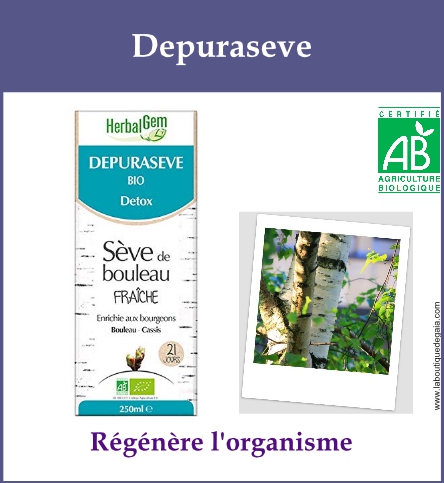 Gemmo depuraseve