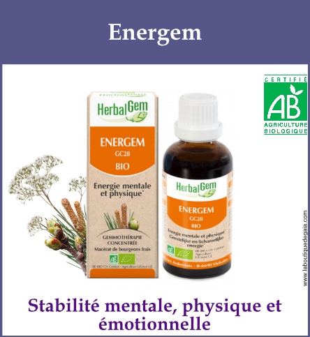 Gemmo energem