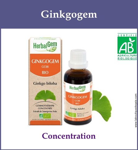 Gemmo ginkgogem 1