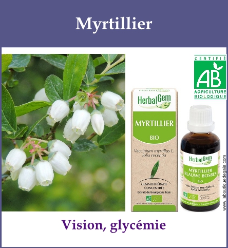 Gemmo myrtillier
