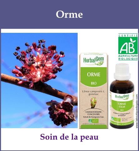 Gemmo orme
