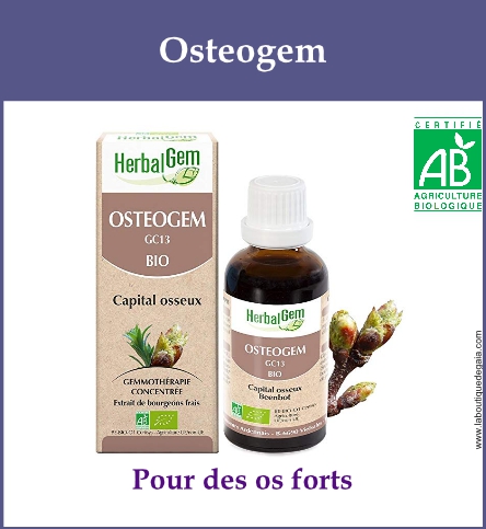 Gemmo osteogem