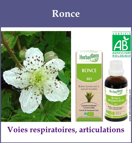 Gemmo ronce