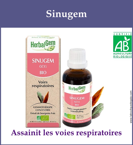 Gemmo sinugem