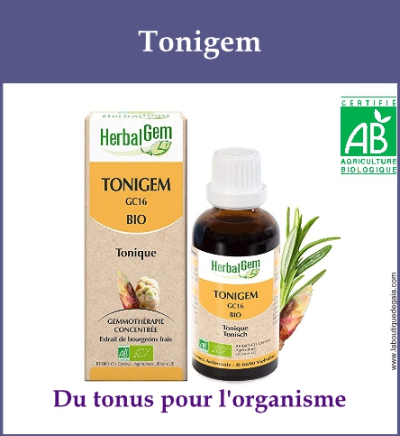 Gemmo tonigem