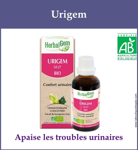 Gemmo urigem