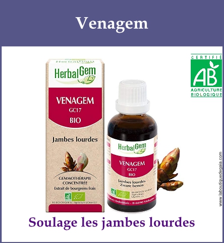 Gemmo venagem