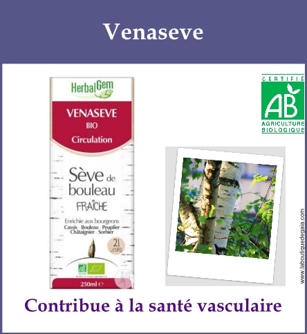 Gemmo venaseve