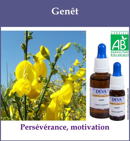 Genet 2
