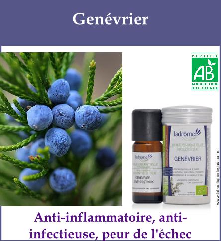 Genevrier