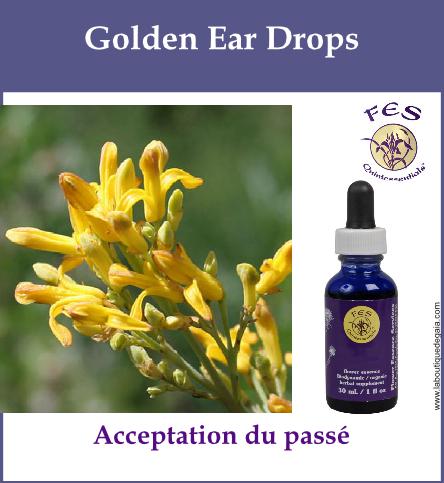 Golden ear drops