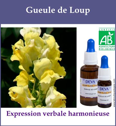 Gueule de loup 2