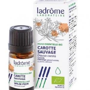Carotte sauvage  - 5 ml