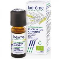 He eucalyptuscitronne 10ml