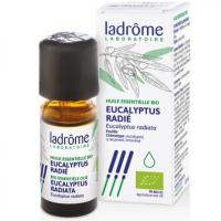 He eucalyptusradie 10ml