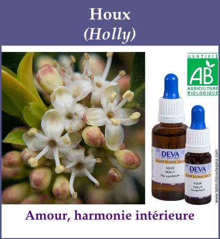 Houx 4