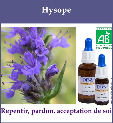 Hysope 2
