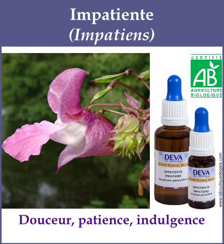 Impatiente 4