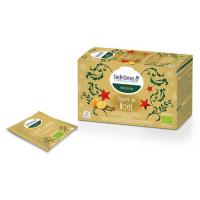 Infusion esprit de noel