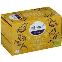 Infusion urinaire