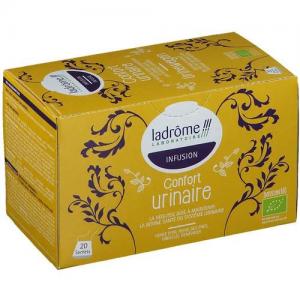 Infusion urinaire