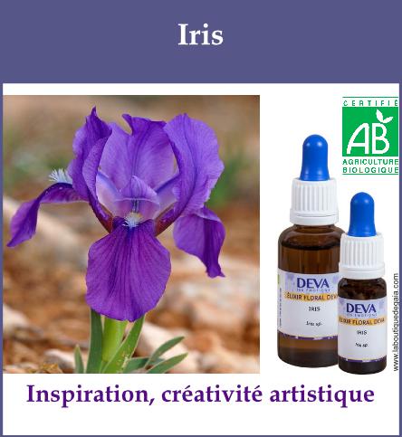 Iris 2