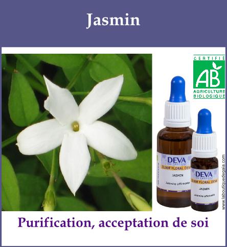 Jasmin 2