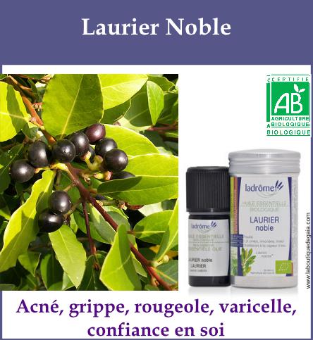 Laurier noble