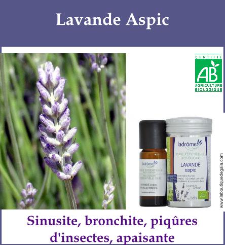 Lavande aspic