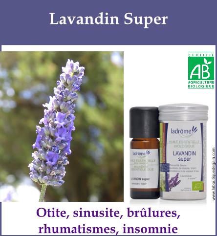 Lavandin super