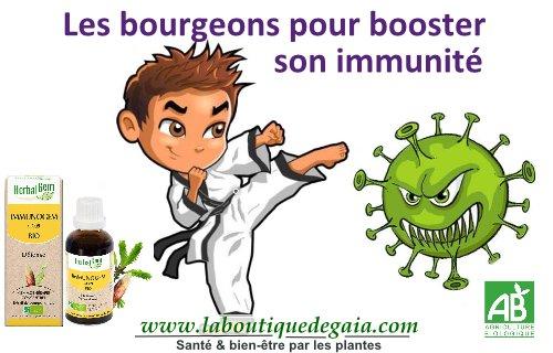 Les bourgeons pour booster son immunité