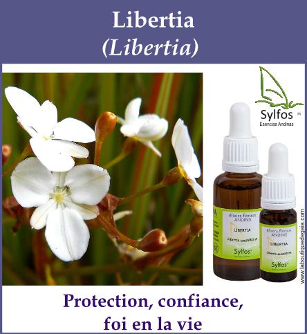 Libertia 5