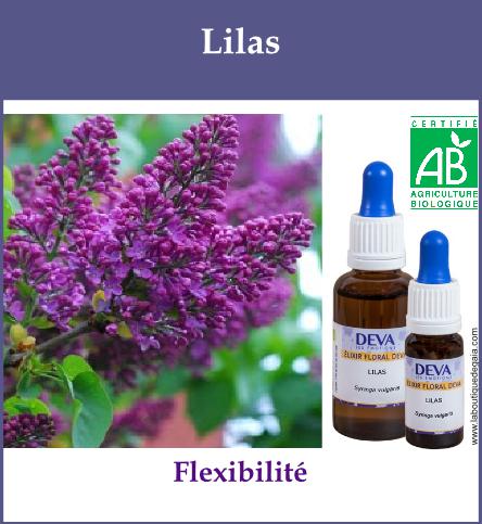 Lilas 2