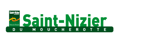 Logo saint nizier