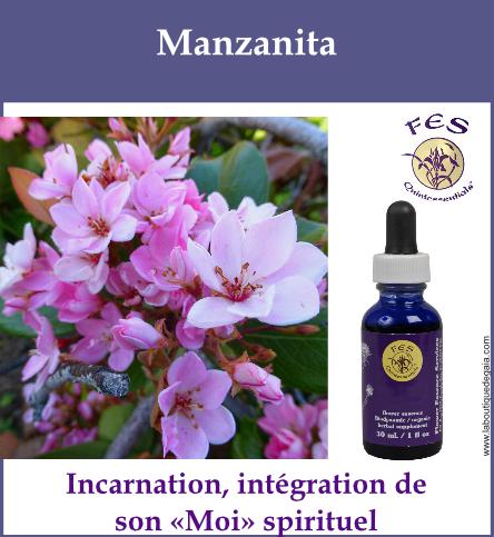 Manzanita