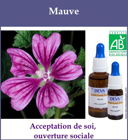 Mauve 2