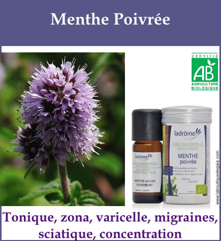 Menthe poivree 3