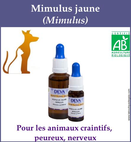 Mimulus jaune animaux
