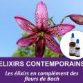 Mn contemporains 1