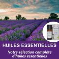 Mn huiles