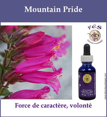 Mountain pride