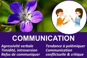 communication