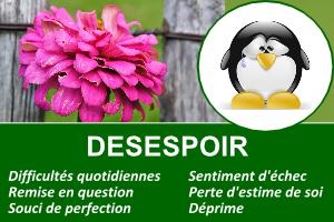 desespoir