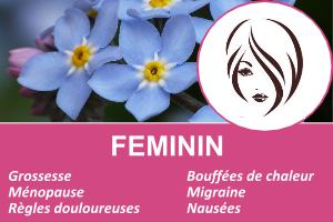 feminite